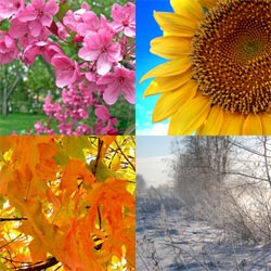 Four distinct seasons